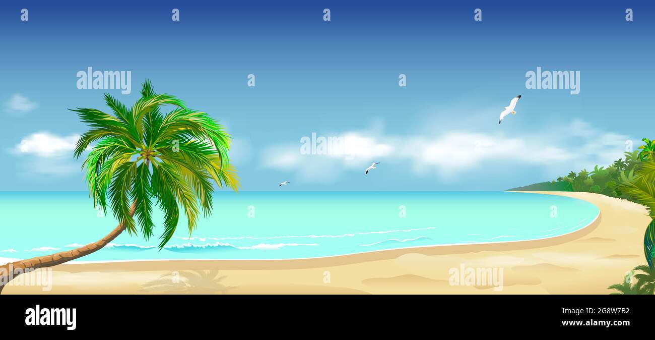 Spiaggia tropicale di sabbia. Palma sopra l'acqua. Oceano costa. Mare della riva. Oceano, cielo, nuvole, sabbia. Illustrazione Vettoriale