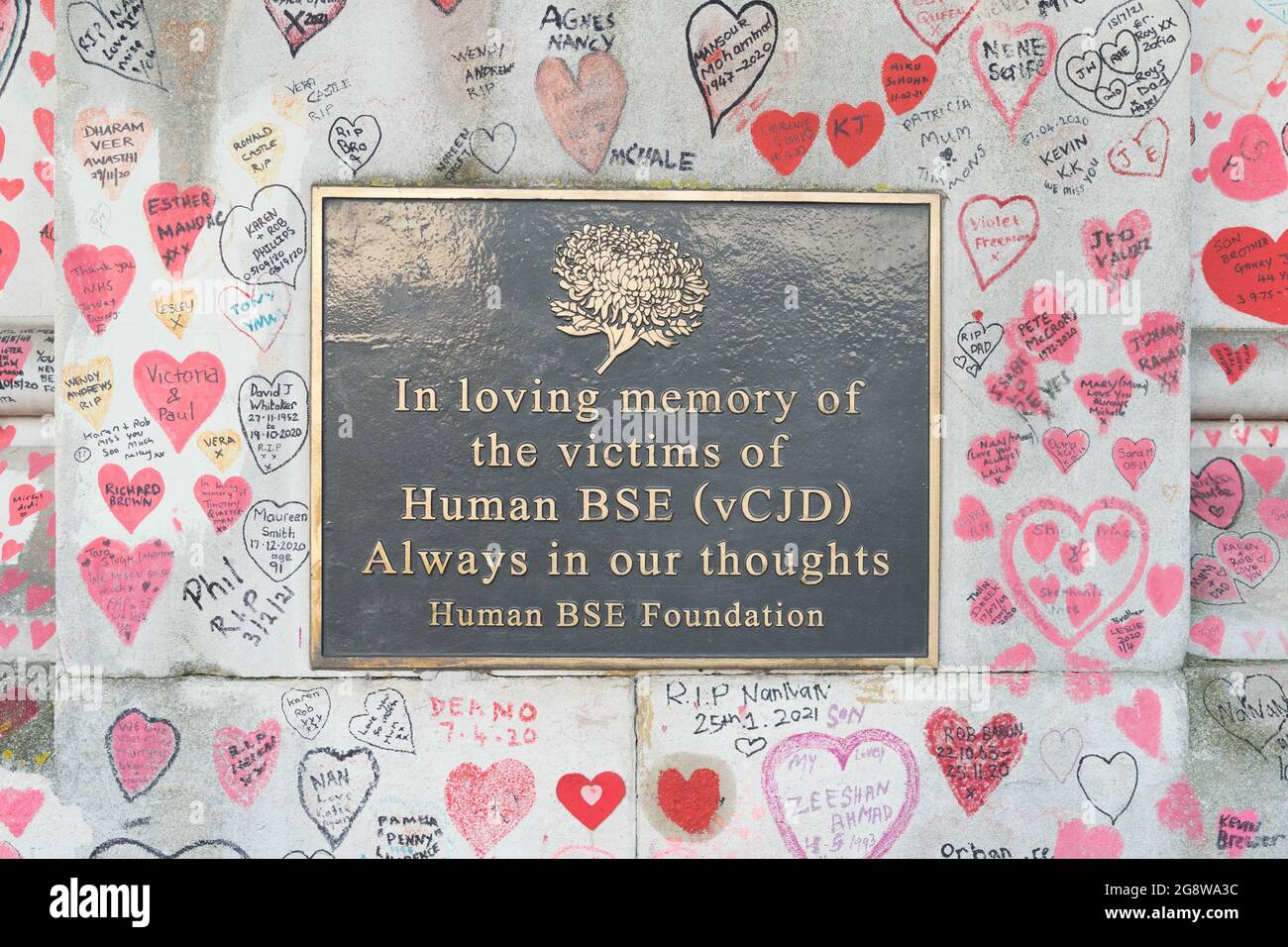 Peste BSE umana vista nel muro di argine della banca meridionale Inghilterra Foto Stock