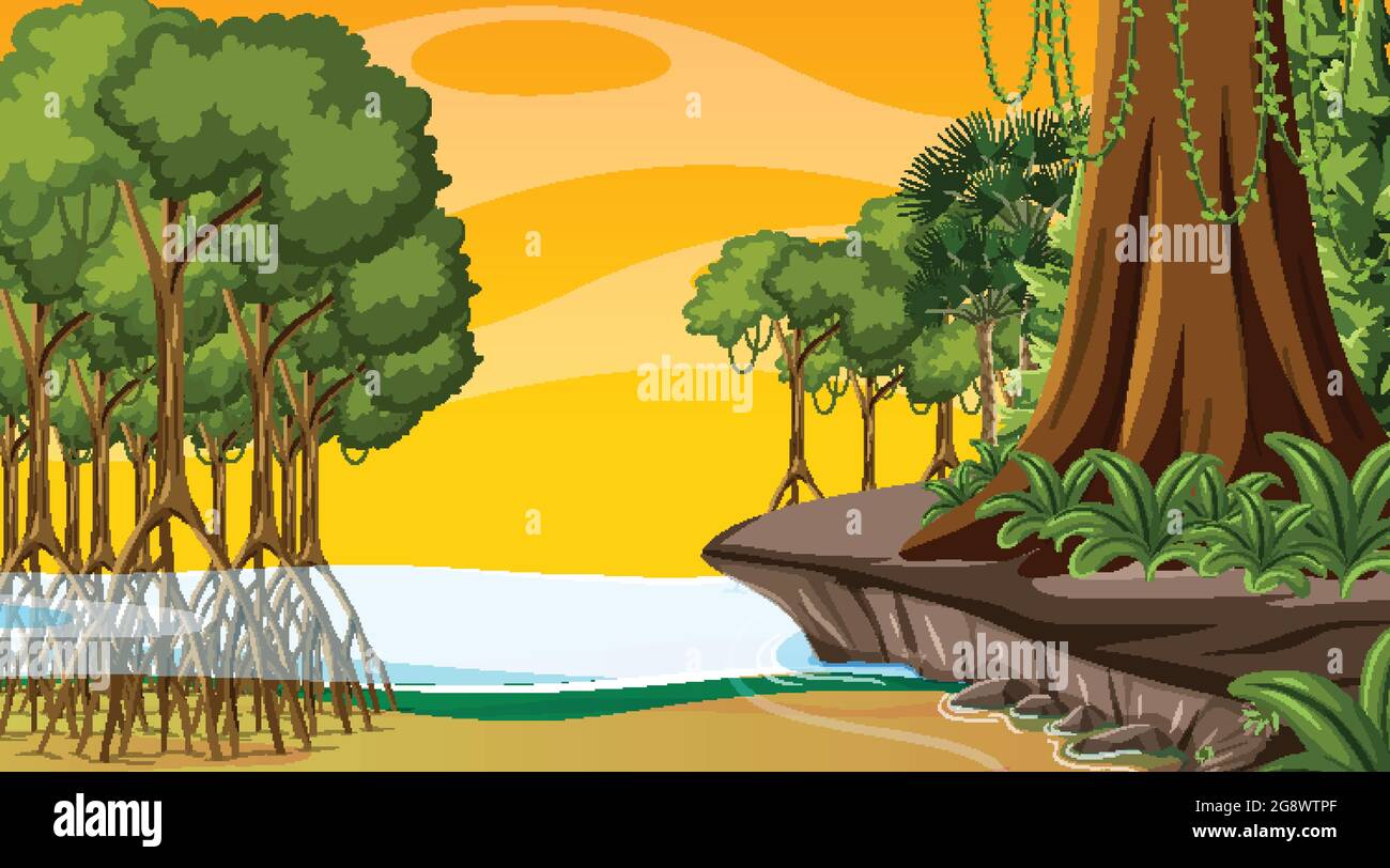 Scena della natura con la foresta di Mangrove al tramonto illustrazione tempo Illustrazione Vettoriale