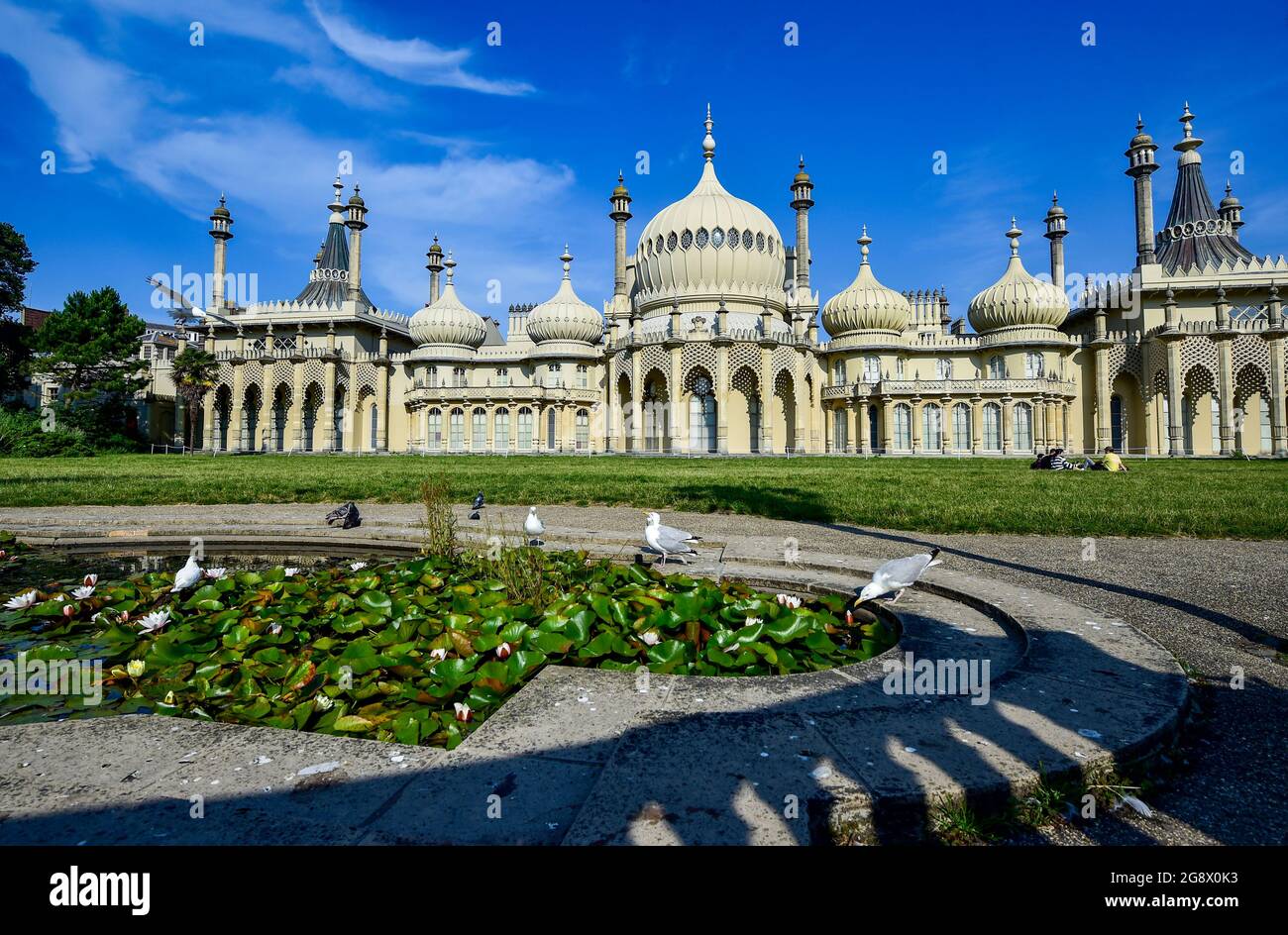 Brighton UK 23 luglio 2021 - Seagulls e piccioni prendere un drink da uno stagno presso il Royal Pavilion a Brighton in una bella mattina di sole, ma il tempo è previsto per diventare più fresco e più inregolato durante il fine settimana con avvertimenti di flash inondazioni per alcune aree : Credit Simon Dack / Alamy Live News Foto Stock
