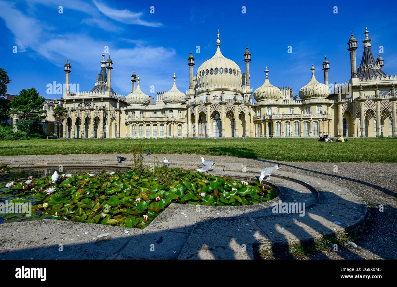 Brighton UK 23 luglio 2021 - Seagulls e piccioni prendere un drink da uno stagno presso il Royal Pavilion a Brighton in una bella mattina di sole, ma il tempo è previsto per diventare più fresco e più inregolato durante il fine settimana con avvertimenti di flash inondazioni per alcune aree : Credit Simon Dack / Alamy Live News Foto Stock