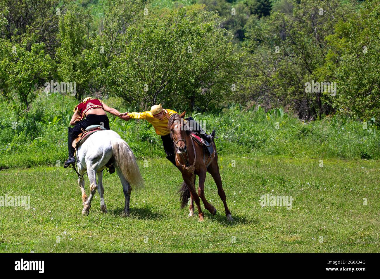 Il kazako gli uomini fare tradizionale braccio nomadi wrestling sul loro cavallo, in Kazakistan. Foto Stock