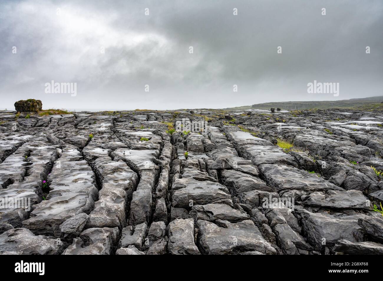 Il paesaggio roccioso incrinato che costituisce la regione Burren dell'Irlanda occidentale Foto Stock