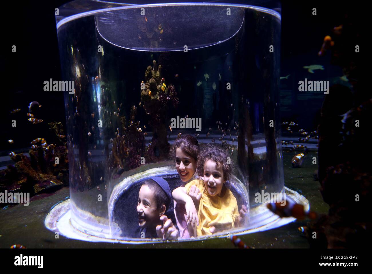 Gerusalemme. 22 luglio 2021. I bambini si divertono in un acquario dello zoo biblico di Gerusalemme il 22 luglio 2021. Credit: Gil Cohen Magen/Xinhua/Alamy Live News Foto Stock