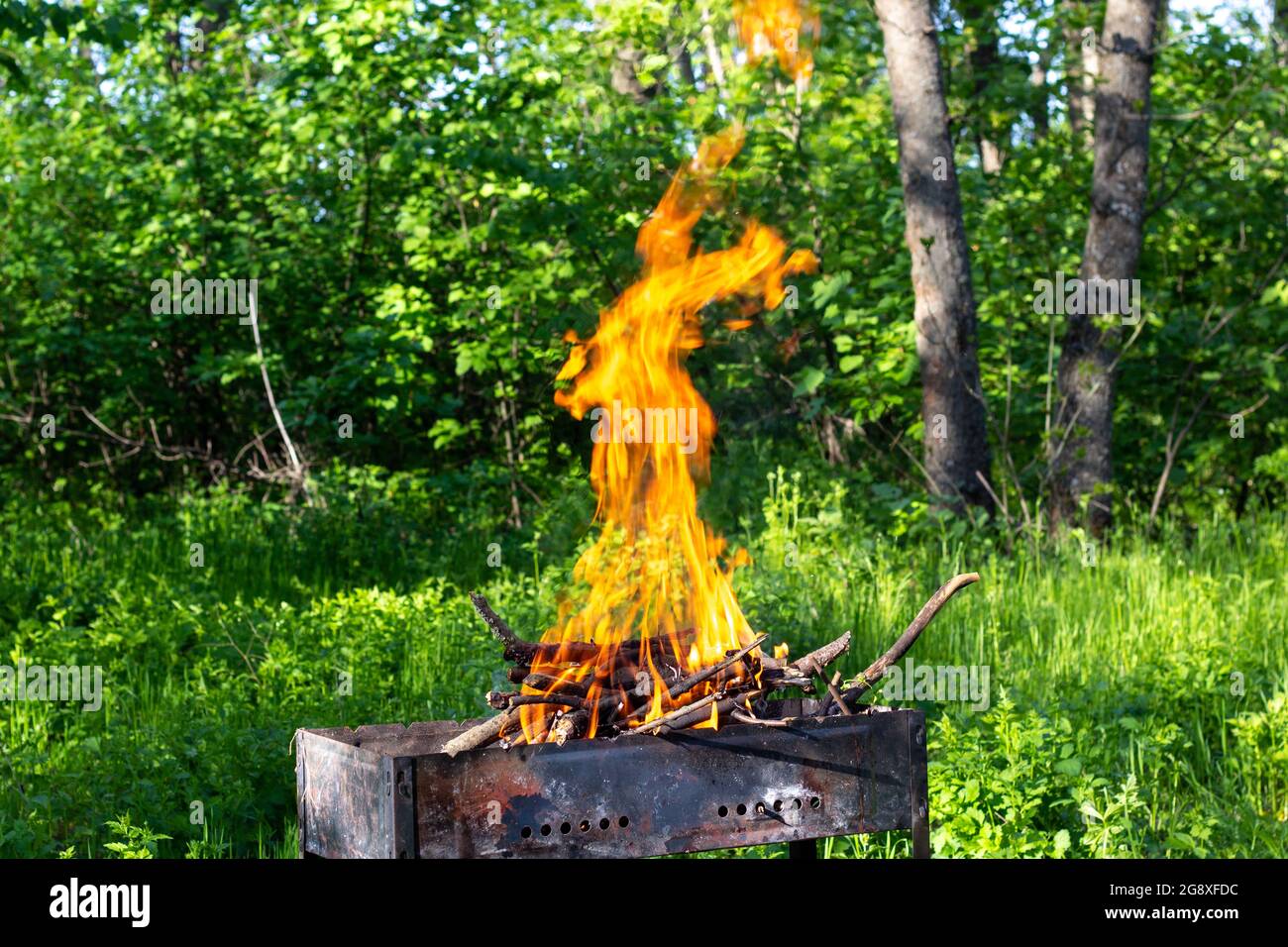 La legna da ardere in griglia brucia con una fiamma arancione brillante di  fuoco su sfondo verde naturale. Preparazione per la cottura della carne  sulla griglia in natura Foto stock - Alamy