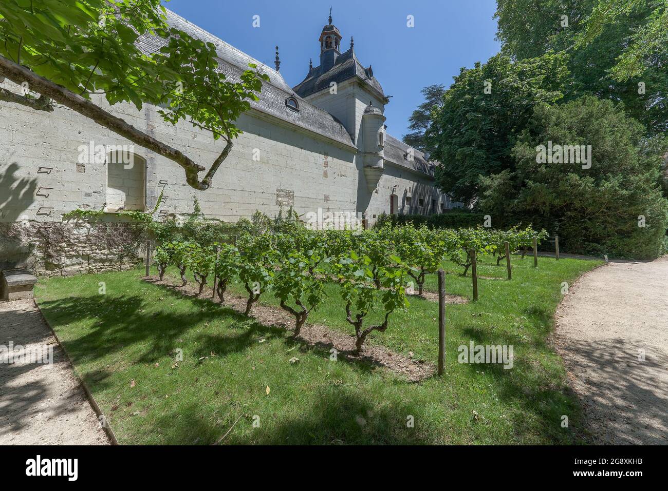 Château de Chenonceau, Chenonceaux, Valle della Loira, Francia Foto Stock