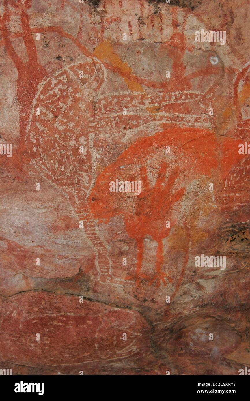 Antichi dipinti di arte rupestre aborigena in stile Quinkan situati vicino alla cittadina di Laura sulla penisola di Cape York in far North Queensland, Australia. Foto Stock