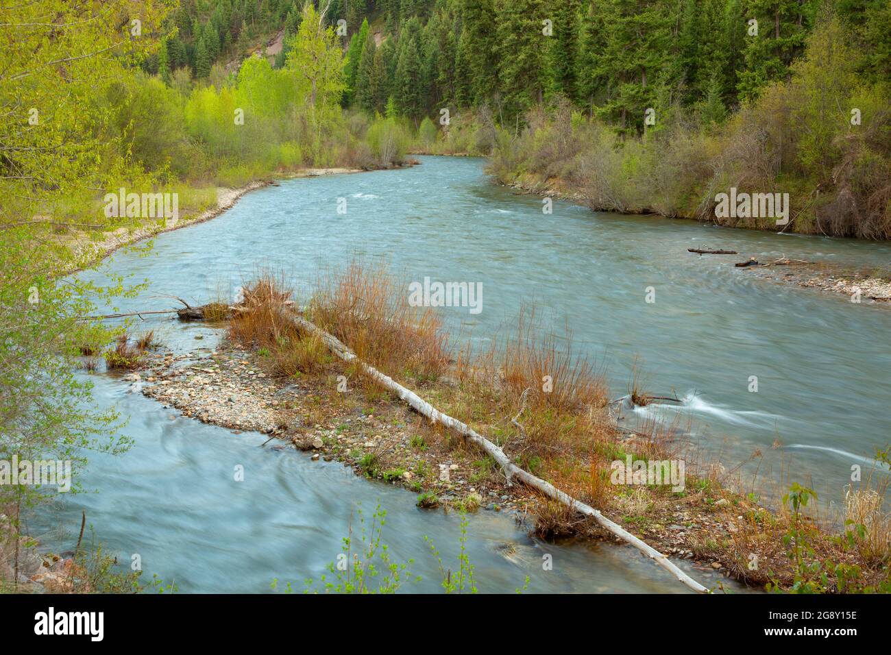 Pesce Creek, Big Pine pesca sito di accesso, Montana Foto Stock