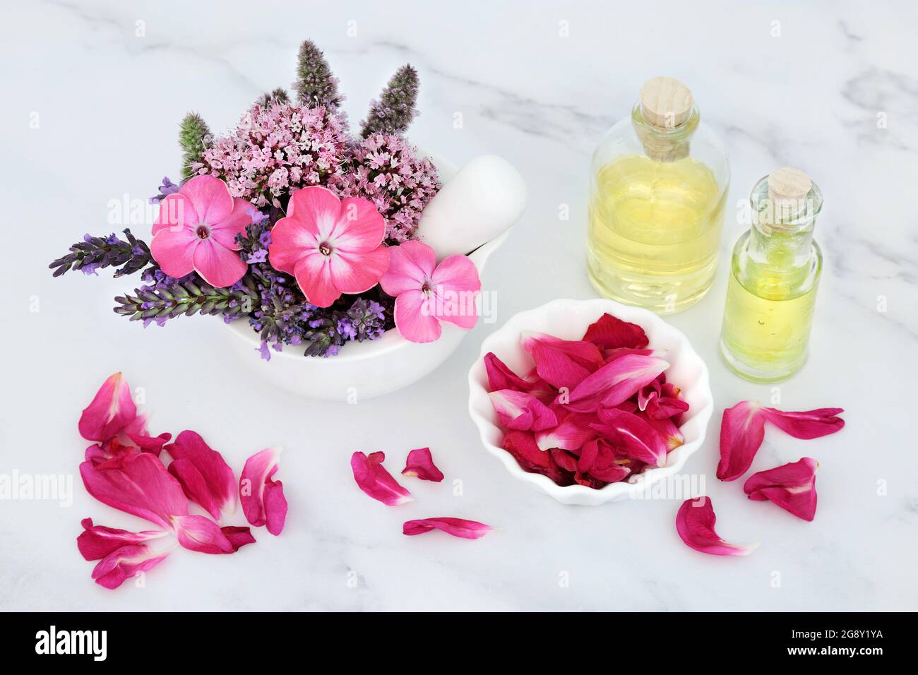 Preparazione dell'olio essenziale per l'aromaterapia e la medicina naturale alle erbe con fiori estivi, erbe e bottiglie d'olio su sfondo marmoreo. Foto Stock