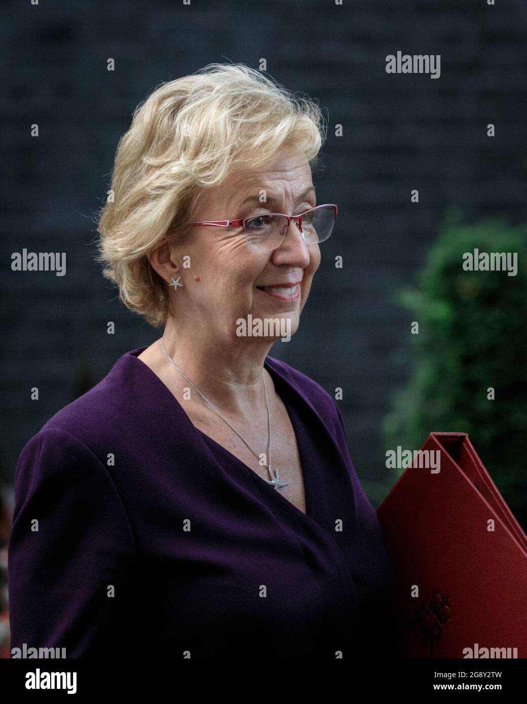 Andrea Leadsom, deputato del Partito conservatore britannico, ministro del governo di maggio, Downing Street, Londra Foto Stock