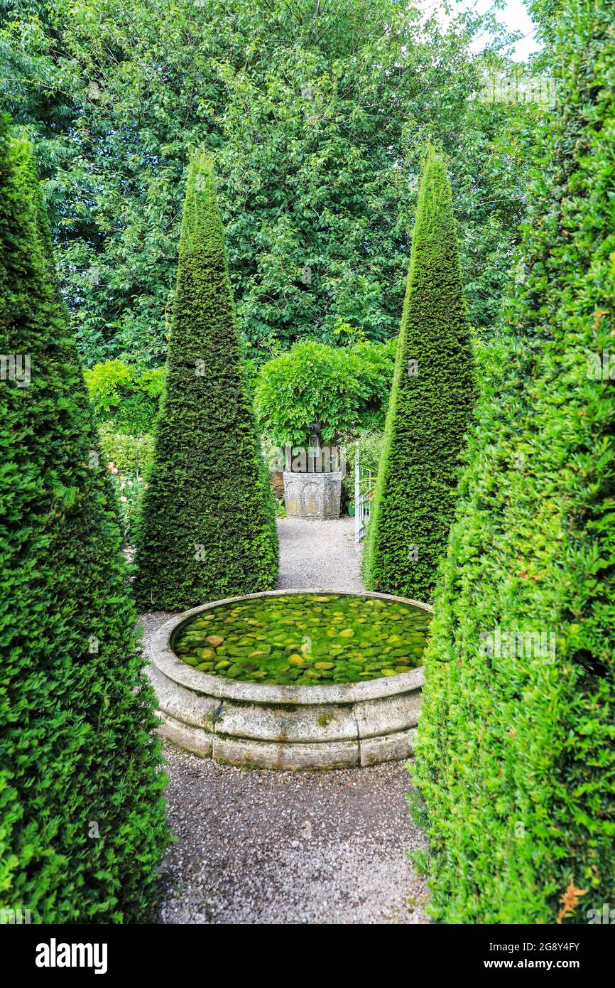 Guglie di tasso tagliate e bene a Wollerton Old Hall Gardens, giardino, Wollerton, mercato Drayton, Shropshire, Inghilterra, Regno Unito Foto Stock