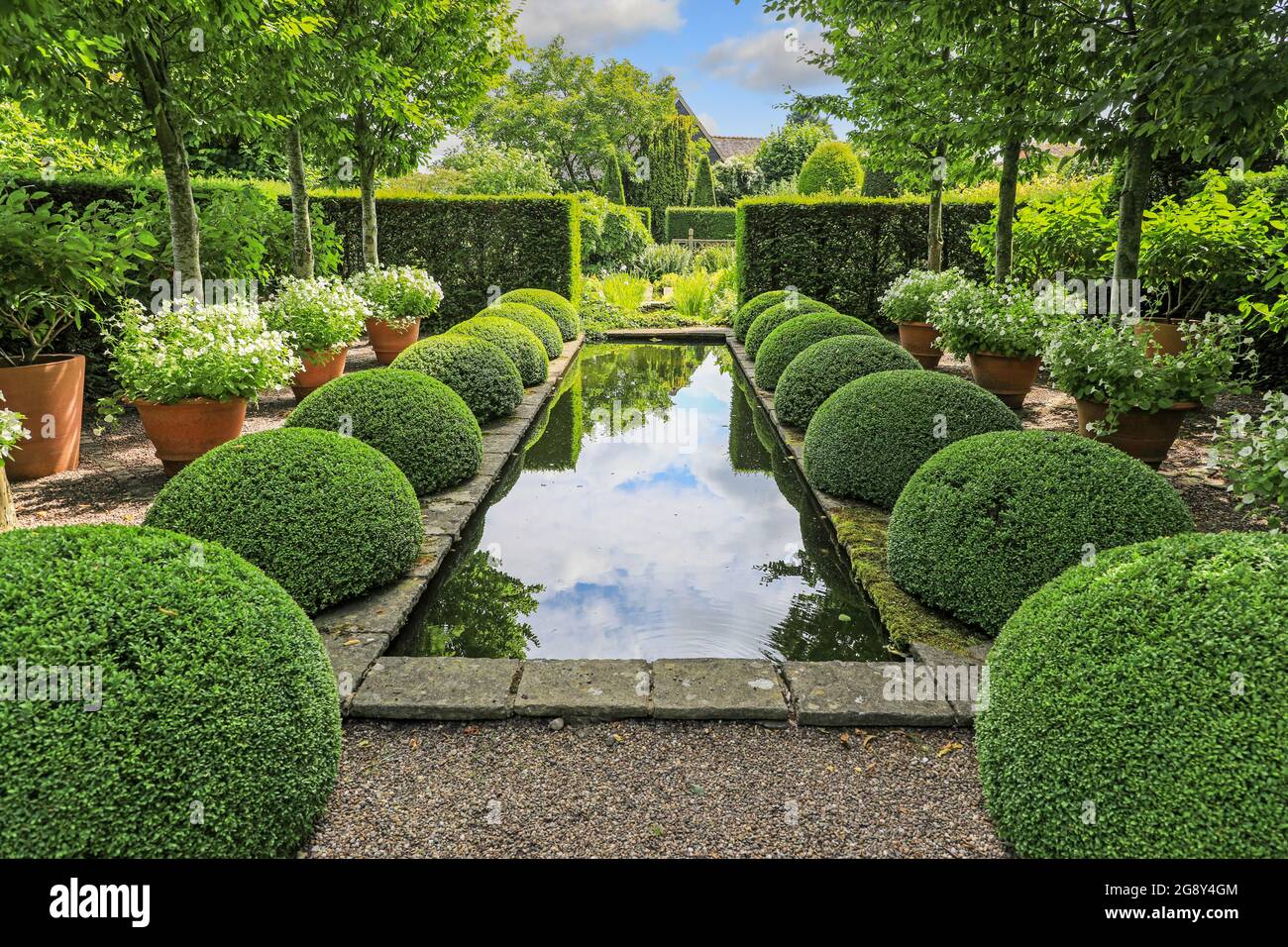 Il laghetto e il topiary al Giardino superiore di Rill a Wollerton Old Hall Gardens giardino Wollerton Market Drayton Shropshire Inghilterra Regno Unito Foto Stock