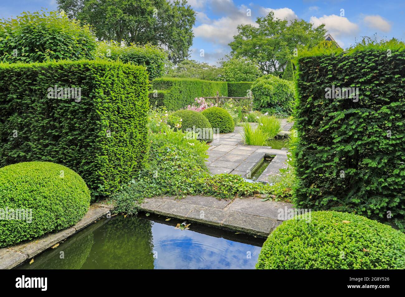 Il laghetto e il topiary al Giardino di Upper Rill guardando verso il Rill inferiore a Wollerton Old Hall Gardens, Market Drayton, Shropshire, Inghilterra, Regno Unito Foto Stock