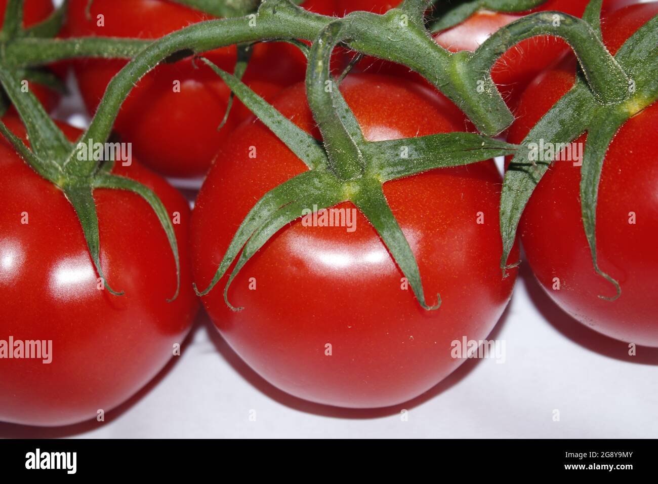 Pomodori rossi isolati sulla foto bianca. Foto Stock