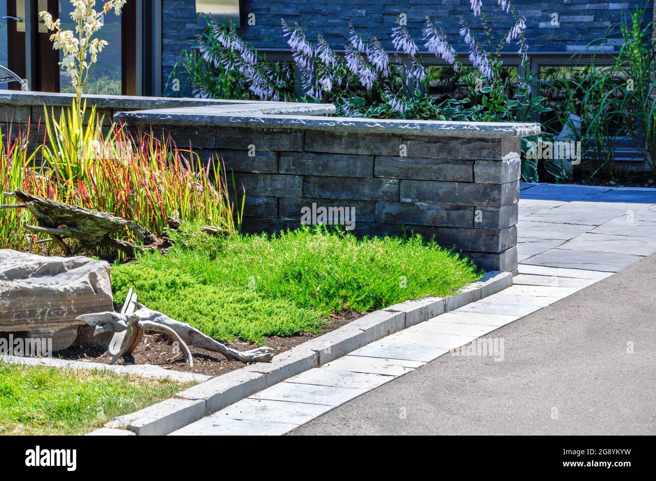 Un muro di pietra coltivato e coping, e un semplice design giardino di ispirazione asiatica creano un invitante ingresso a questa moderna casa di metà secolo. Foto Stock