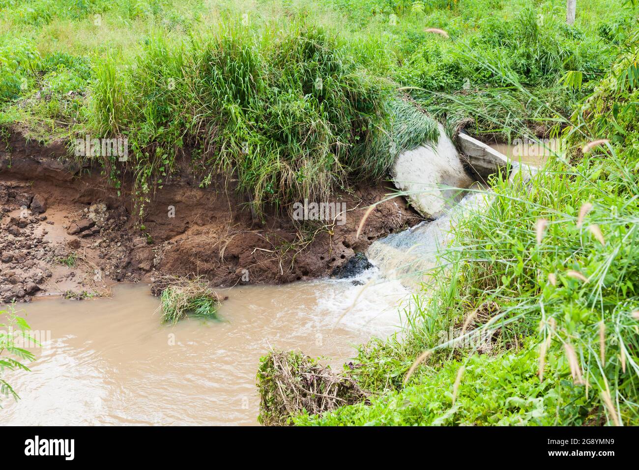 Weir nella zona di coltivazione, erosione dell'acqua attraverso la zona coltivata, degrado del suolo Foto Stock
