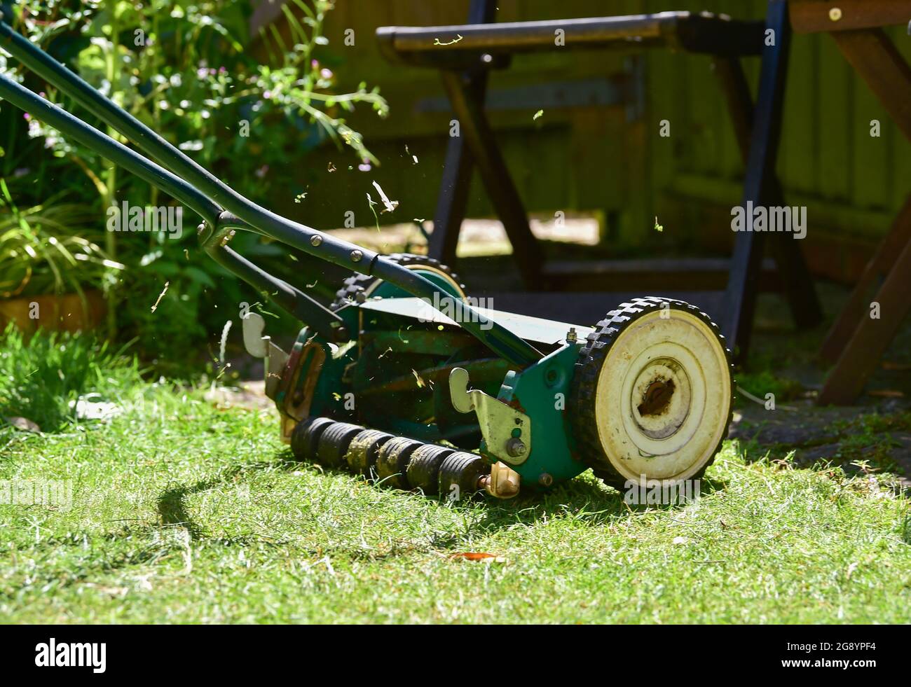 Falciatura del prato con un rasaerba manuale a spinta manuale che taglia l'erba estate nel Regno Unito Foto Stock