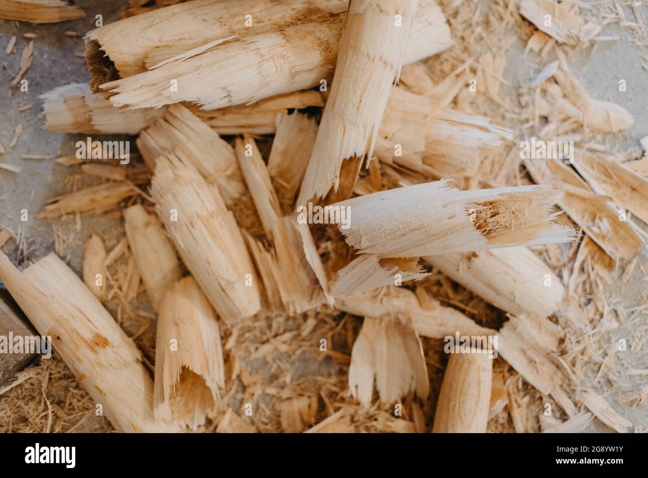 Lavorazione del legno, realizzazione di tubi in legno, didgeridoo Foto Stock