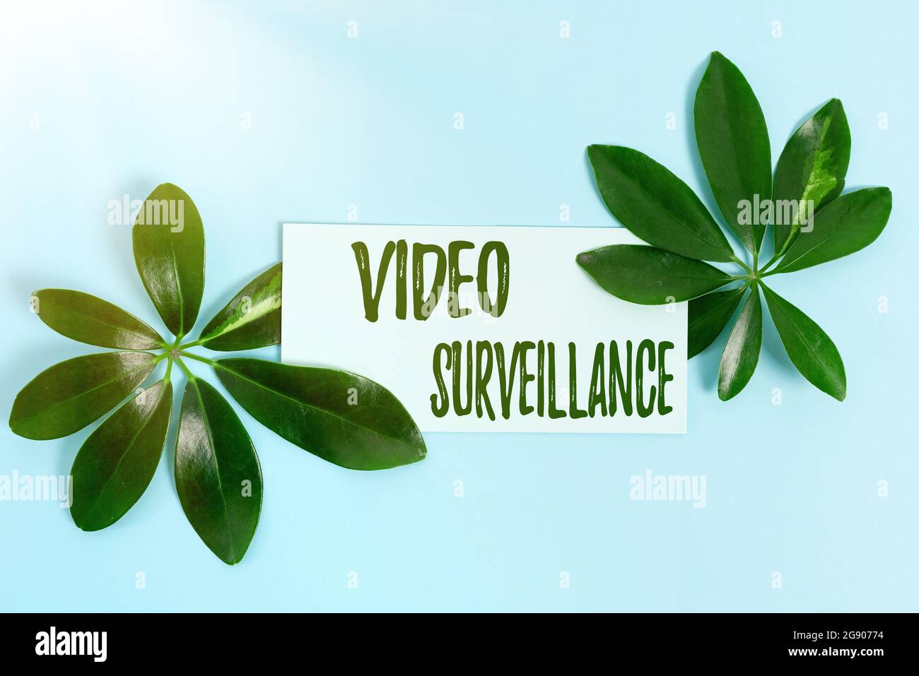 Scrittura visualizzazione testo sorveglianza video. Word per il sistema di monitoraggio attività in un'area o edificio creazione tema natura contenuto Blog Foto Stock