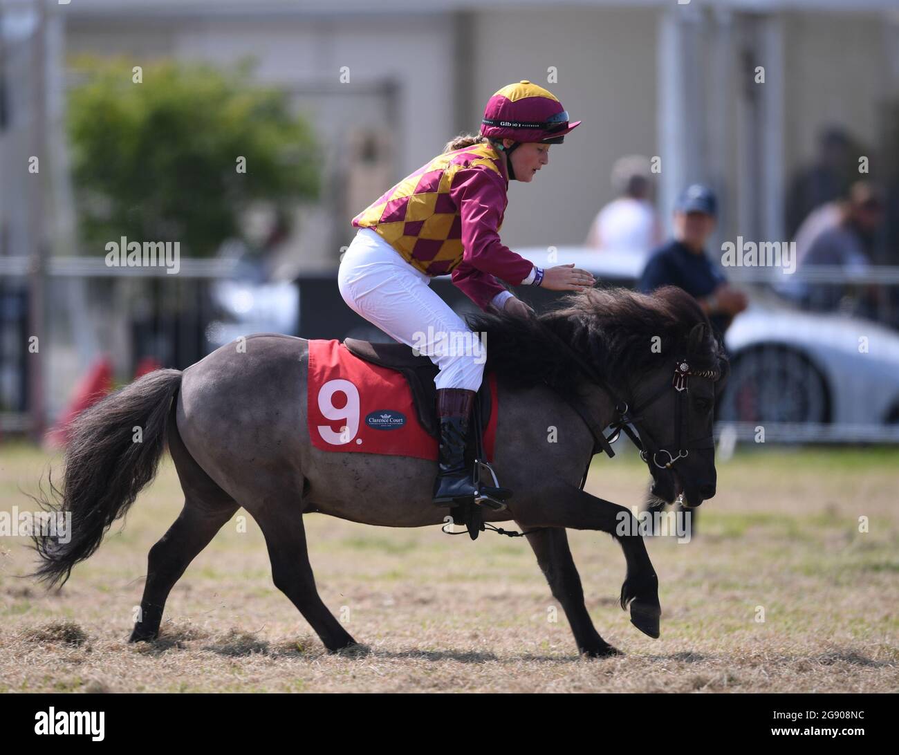 Ragley Hall, Warwick, Warwickshire, Regno Unito. 23 luglio 2021. Il Game Fair Exhibition Show; un giovane fantino celebra la vittoria del secondo caldo del Grand National Credit di Shetland Pony: Action Plus Sports/Alamy Live News Foto Stock