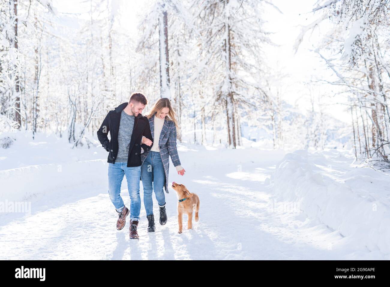 Ragazzo e ragazza che camminano sulla neve con il cane durante la vacanza Foto Stock