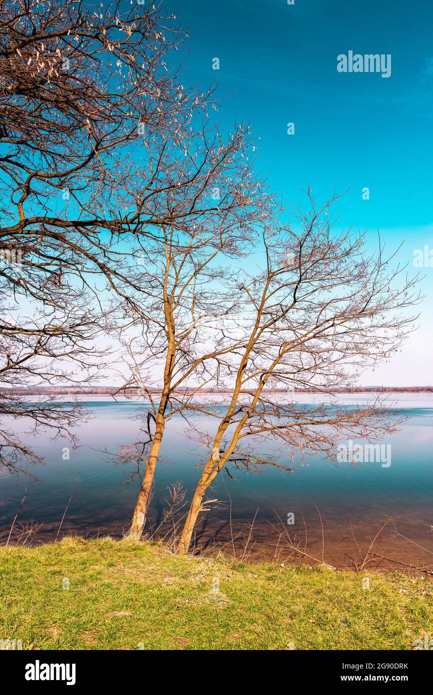 Alberi senza frondoli in primavera che crescono sulla riva del lago in una bella giornata di sole. Foresta sull'altro lato del lago. Blu, cielo senza nuvole e calma, Foto Stock