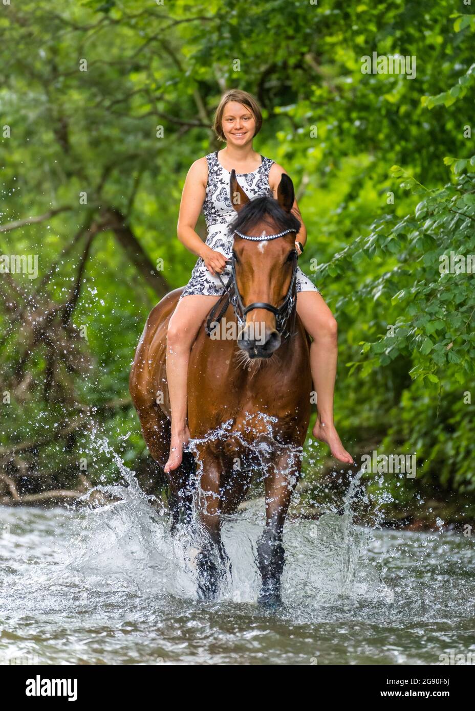 Donna cavallo a cavallo nel fiume Rems a foresta Foto Stock