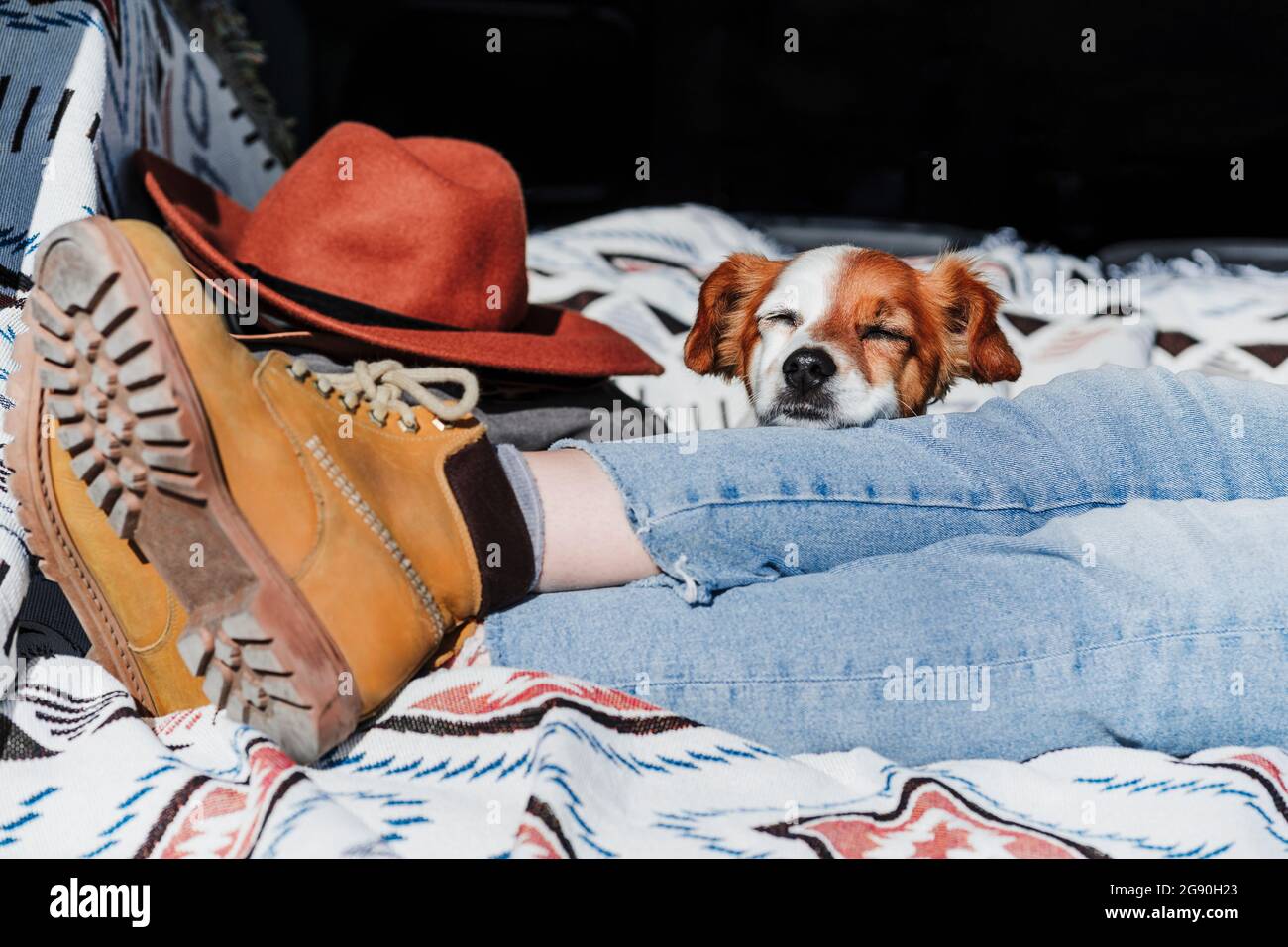 Cane con occhi chiusi che riposa sulla gamba della donna durante la giornata di sole Foto Stock