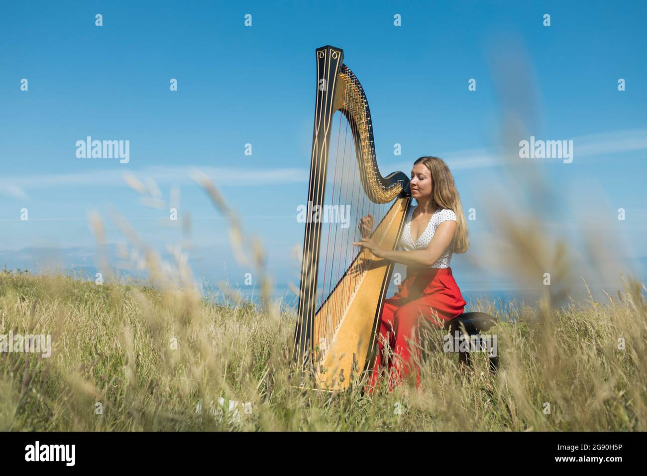 Giovane musicista femminile che pratica l'arpa nel prato durante la giornata di sole Foto Stock