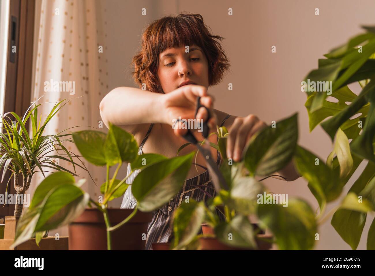 Donna con capelli corti taglio foglia di piante a casa Foto Stock