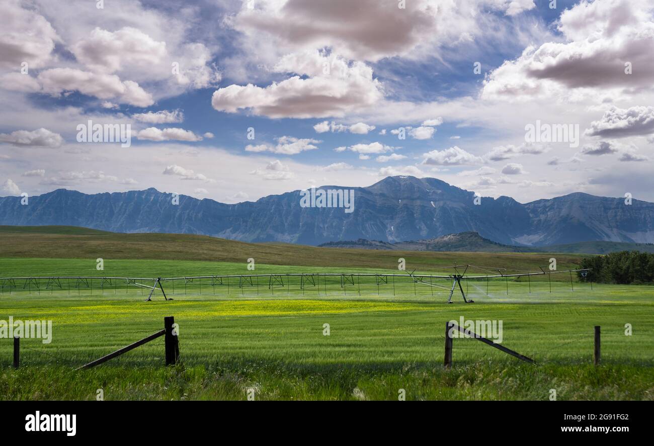 Una fattoria di ranch lungo le pendici orientali delle Montagne Rocciose canadesi e il futuro sviluppo di miniere di carbone. Foto Stock