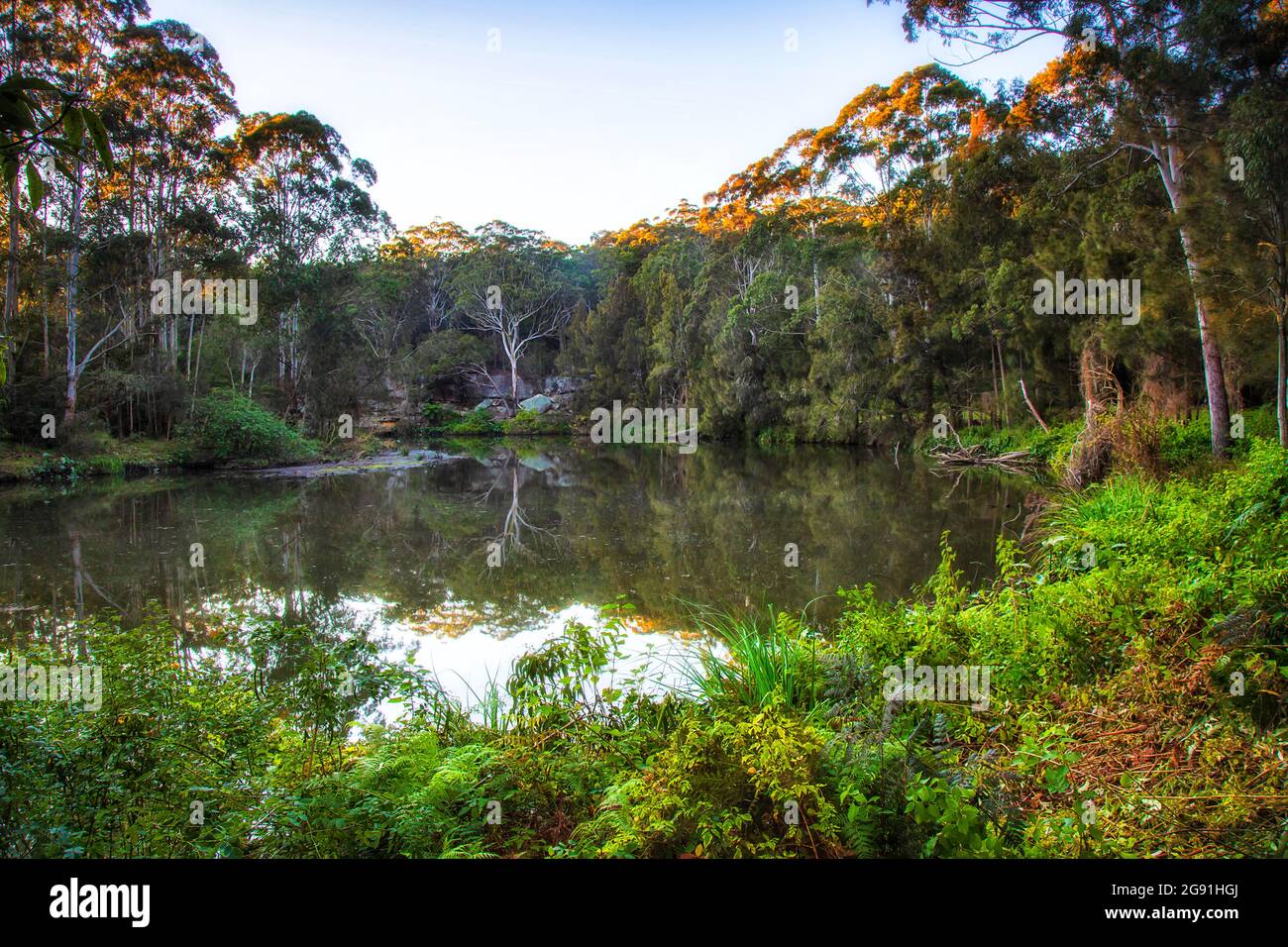 Lane Cove River gira in boschi sempreverdi del parco nazionale, Sydney, Australia. Foto Stock