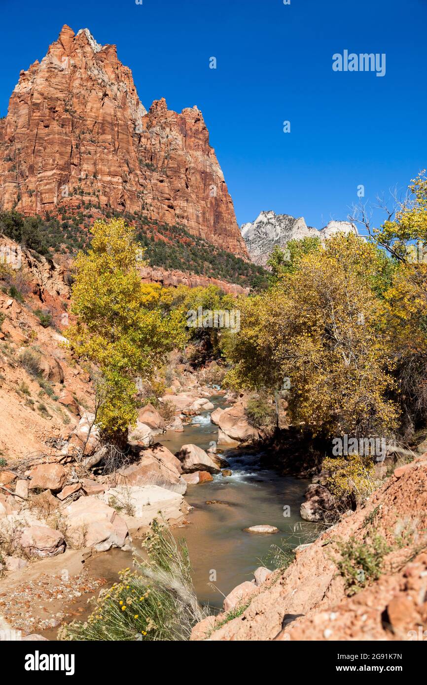 Il fiume Virgin si snoda attraverso lo splendido paesaggio del Parco Nazionale di Zion in autunno. Foto Stock