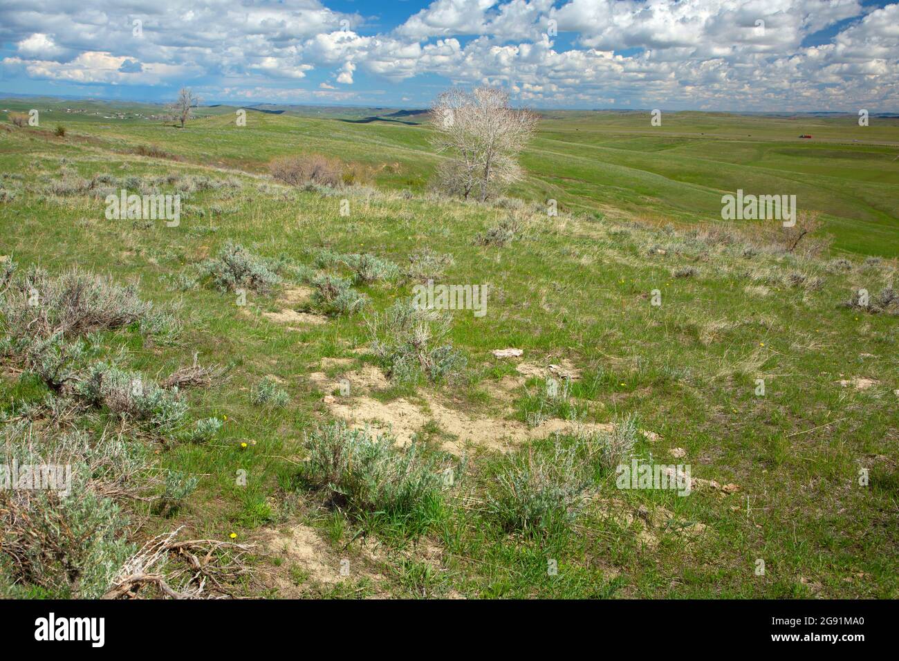 Bozeman Trail Ruts, sito storico del campo di battaglia di Fetterman, Wyoming Foto Stock
