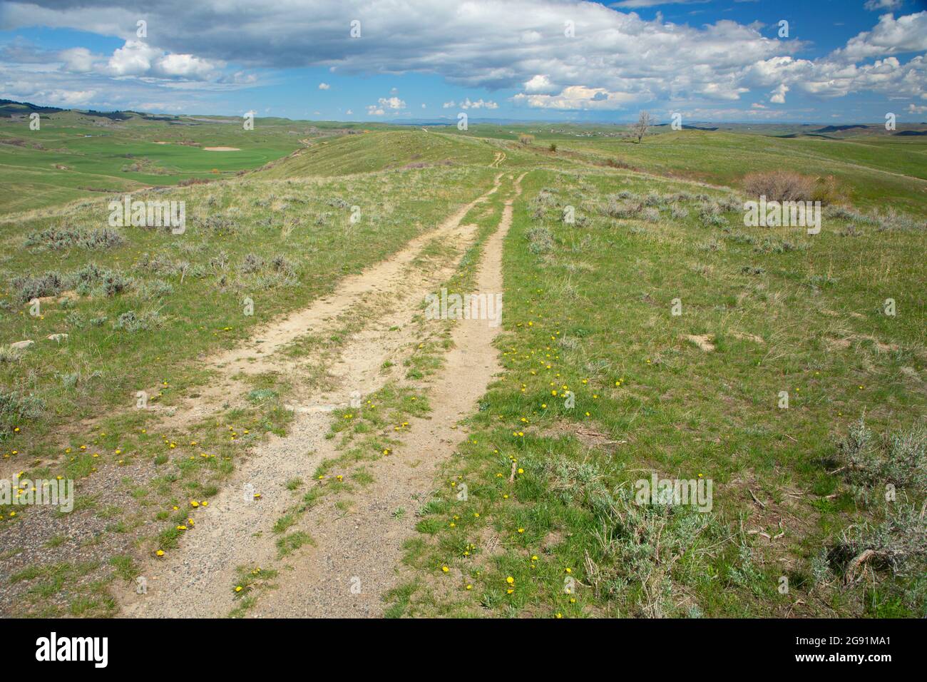 Trail on Massacre Hill, sito storico del campo di battaglia di Fetterman, Wyoming Foto Stock