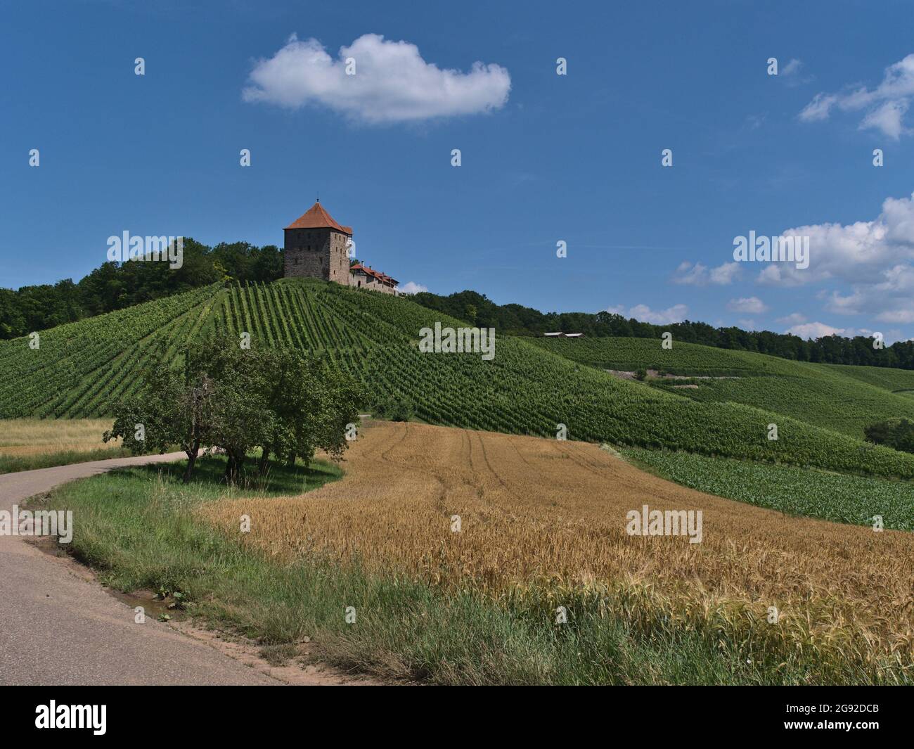 Stretta strada di campagna che conduce attraverso i campi d'orzo dorato con il castello medievale Burg Wildeck a Baden-Württemberg, Germania. Foto Stock