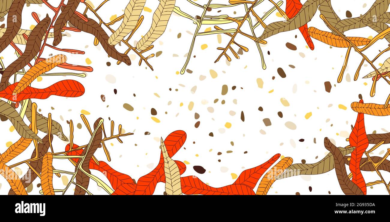 Modello vettoriale con foglie di monstera tropicale di diverse sfumature colorate su sfondo bianco. Disegno botanico esotico per tessile, carta da parati, Web site Illustrazione Vettoriale