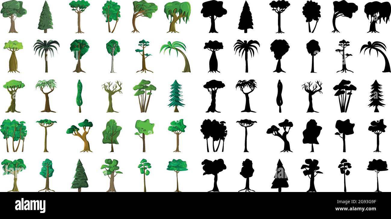 Sagome nere e alberi realistici di diverse zone climatiche su sfondo bianco - illustrazione vettoriale Illustrazione Vettoriale