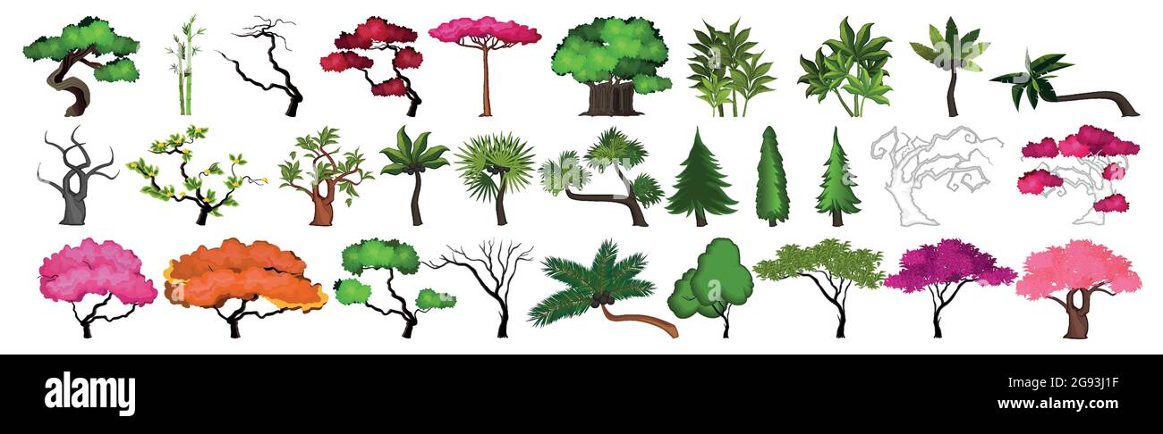 Seth alberi da diverse zone climatiche su sfondo bianco - illustrazione vettoriale Illustrazione Vettoriale