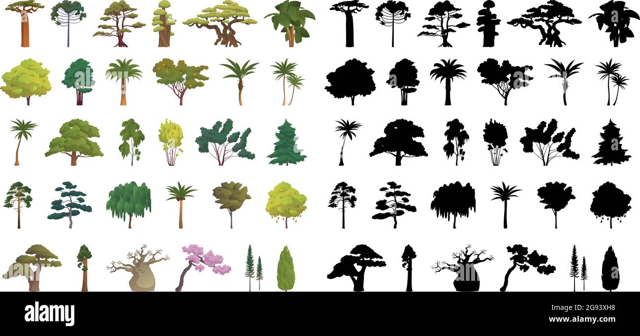 Sagome nere e alberi realistici di diverse zone climatiche su sfondo bianco - illustrazione vettoriale Illustrazione Vettoriale