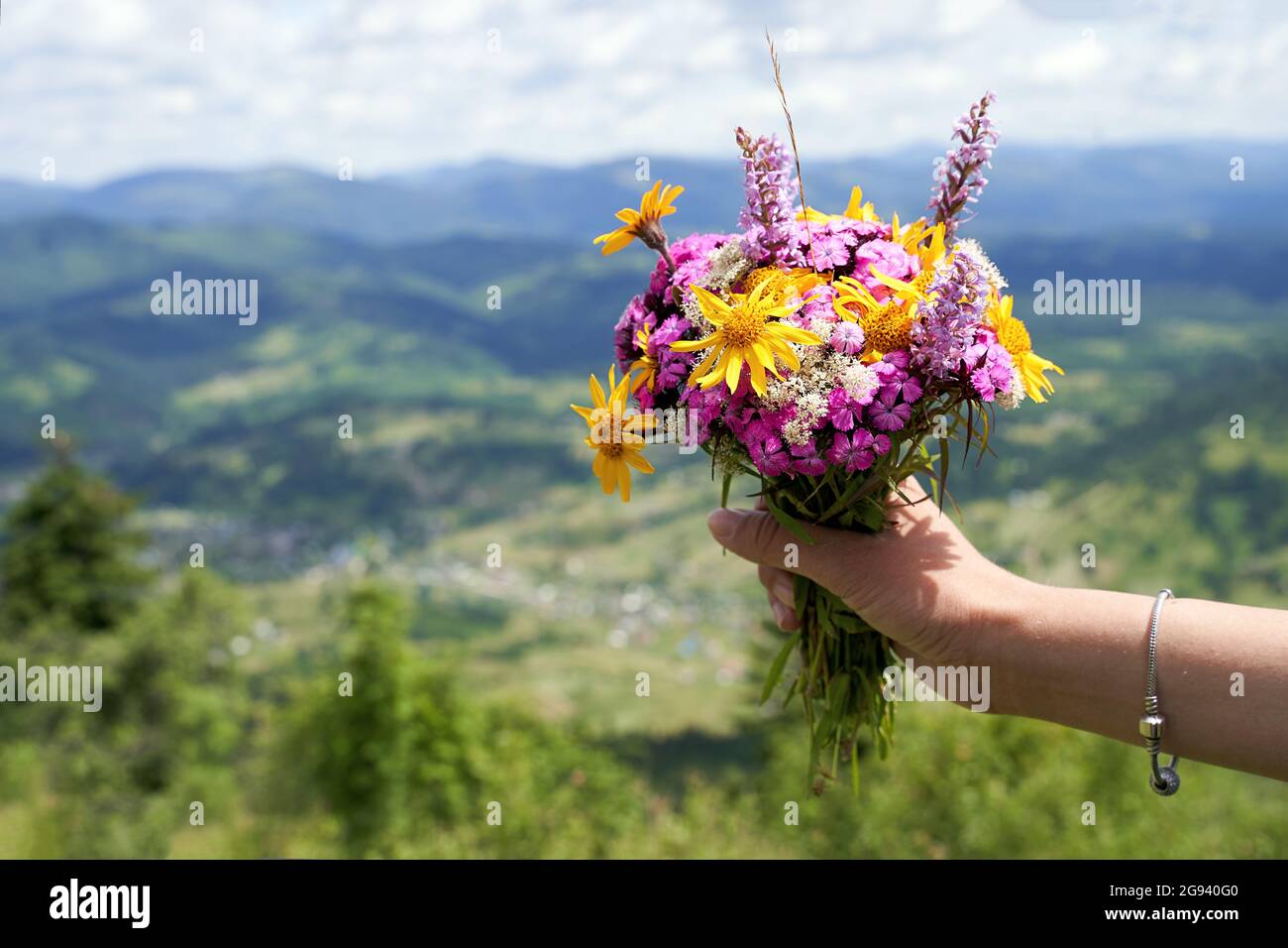Donna mano che tiene un colorato bouquet di fiori selvatici sulla cima  della montagna con montagne paesaggio sullo sfondo Foto stock - Alamy