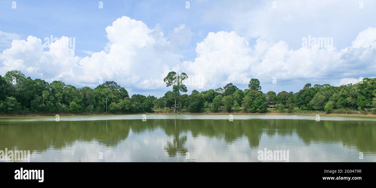 Foresta tropicale e cielo blu Foto Stock