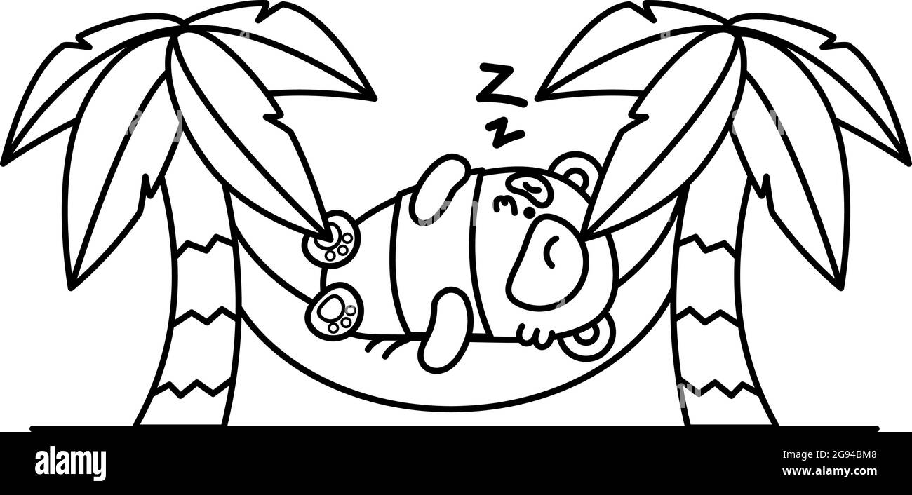 Il piccolo e carino panda sta dormendo in un'amaca tra palme. Illustrazione vettoriale in stile lineare su sfondo bianco. Animale Kawai. Libro da colorare pa Illustrazione Vettoriale
