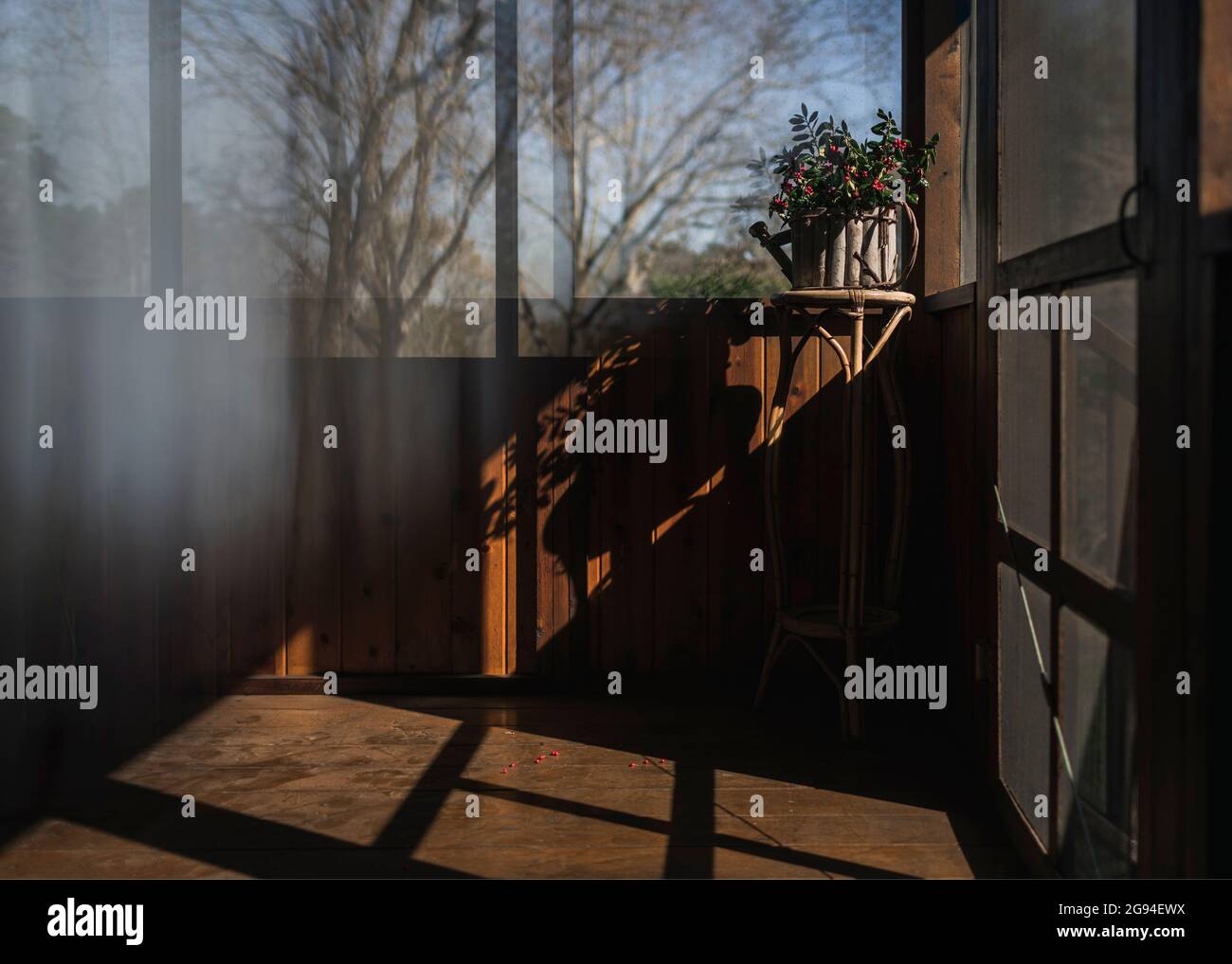 Luce e ombre formano linee e riflessi su portico schermato Foto Stock