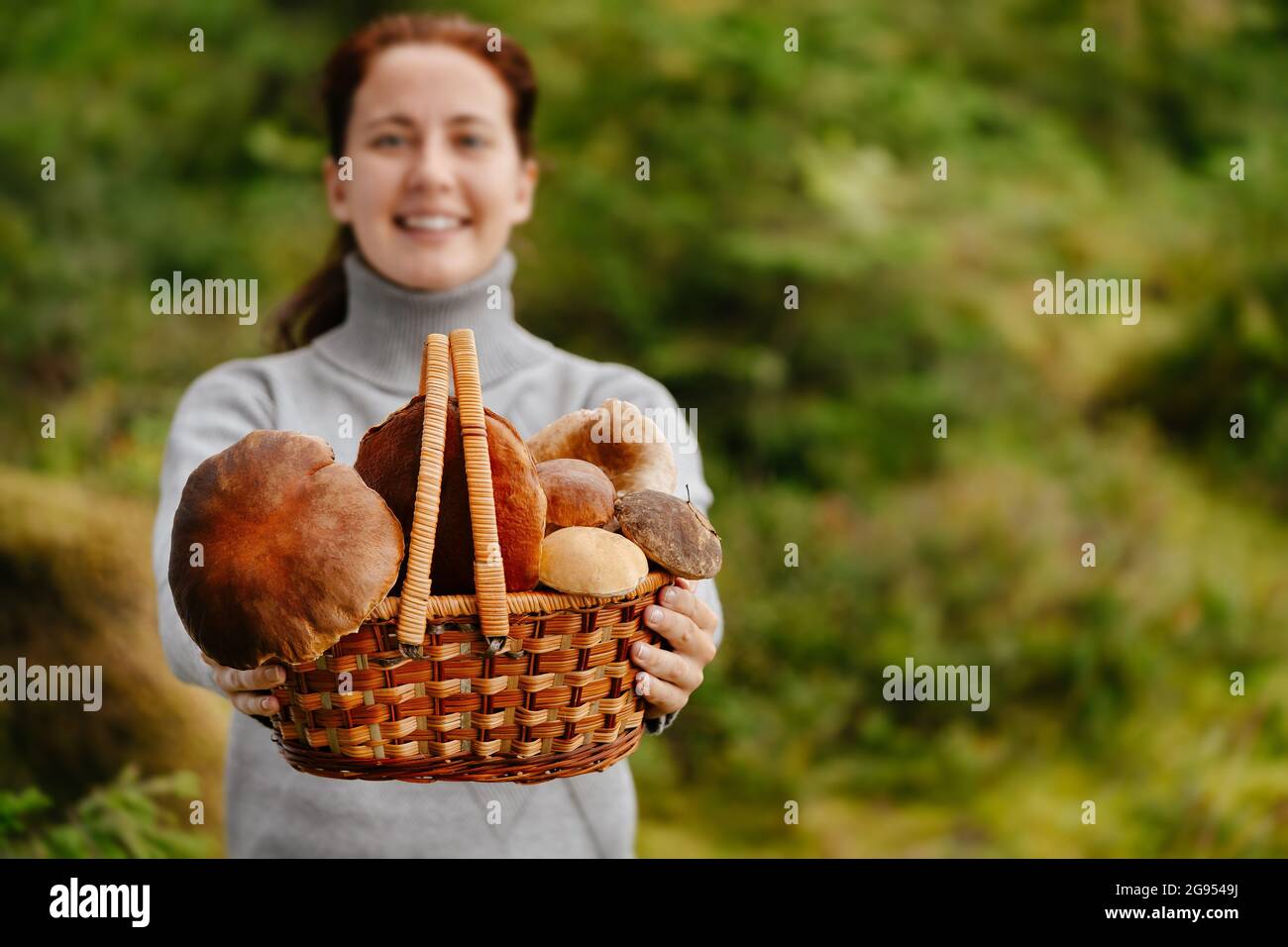 Donna che raccoglie funghi nella foresta Foto Stock