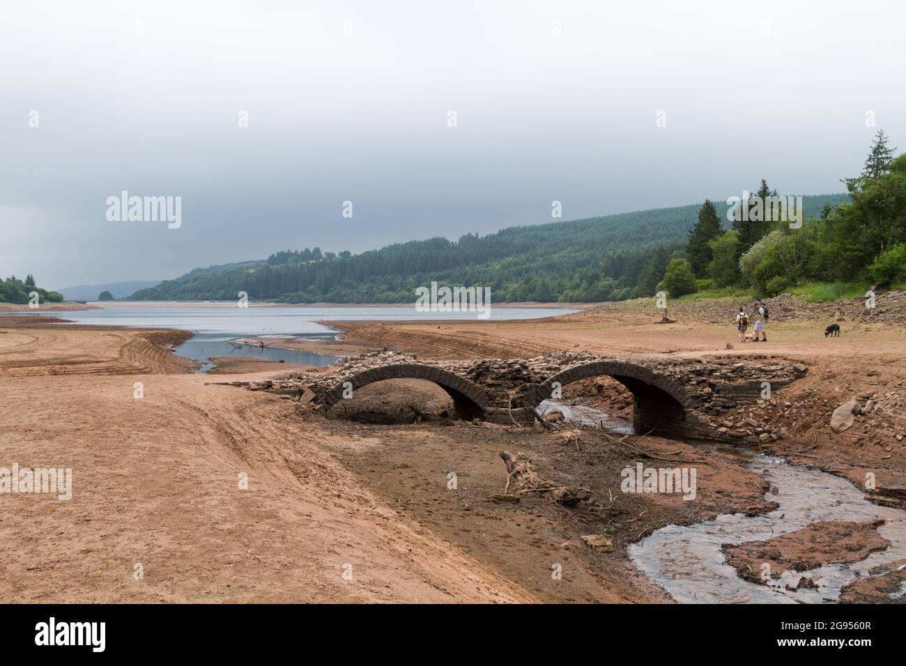 Tempo in Gran Bretagna: Lago artificiale di Llwyn Onn, Merthyr Tydfil, Galles del Sud. 24 luglio 2021. I livelli dell'acqua continuano a esaurire dopo l'onda di calore. Credit: Andrew Bartlett/Alamy Live News. Foto Stock