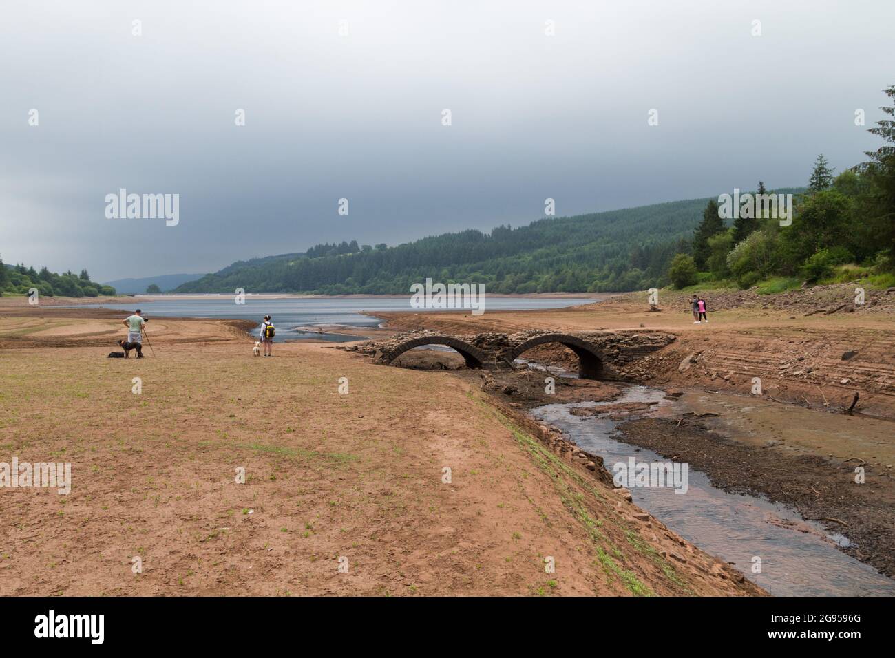 Tempo in Gran Bretagna: Lago artificiale di Llwyn Onn, Merthyr Tydfil, Galles del Sud. 24 luglio 2021. I livelli dell'acqua continuano a esaurire dopo l'onda di calore. Credit: Andrew Bartlett/Alamy Live News. Foto Stock