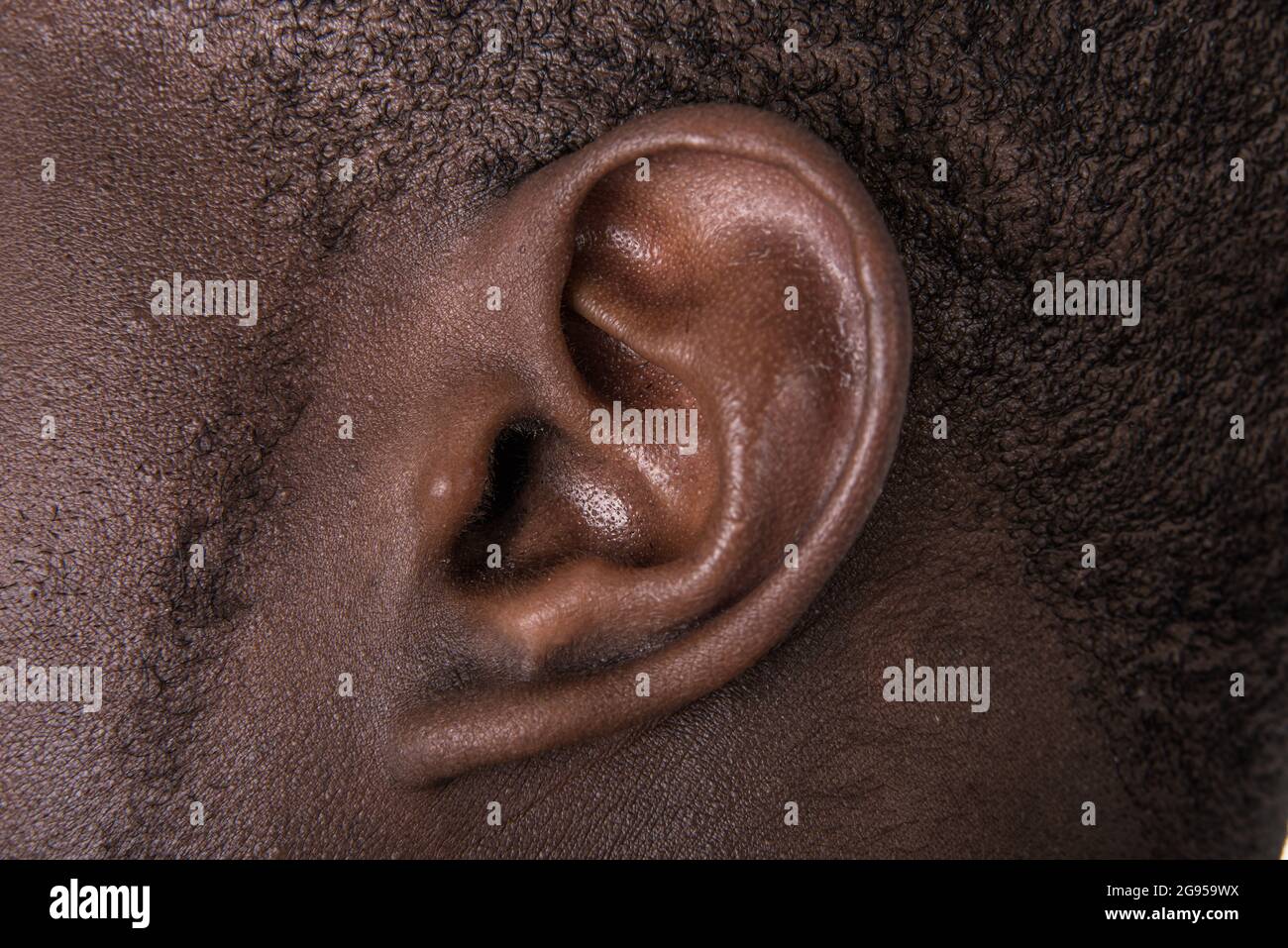 Primo piano sull'orecchio nero. Lobo dell'orecchio afroamericano. Concetto di ascolto e ascolto. Foto Stock
