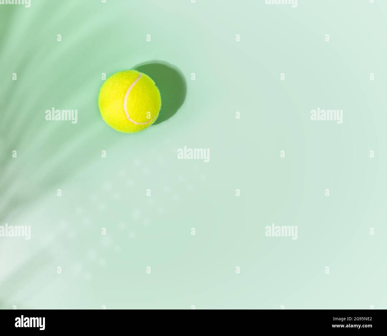 Tennis. Sport, composizione orizzontale con palla da tennis gialla e palma lasciano ombra su sfondo menta con posto per il testo. Disposizione piatta Foto Stock