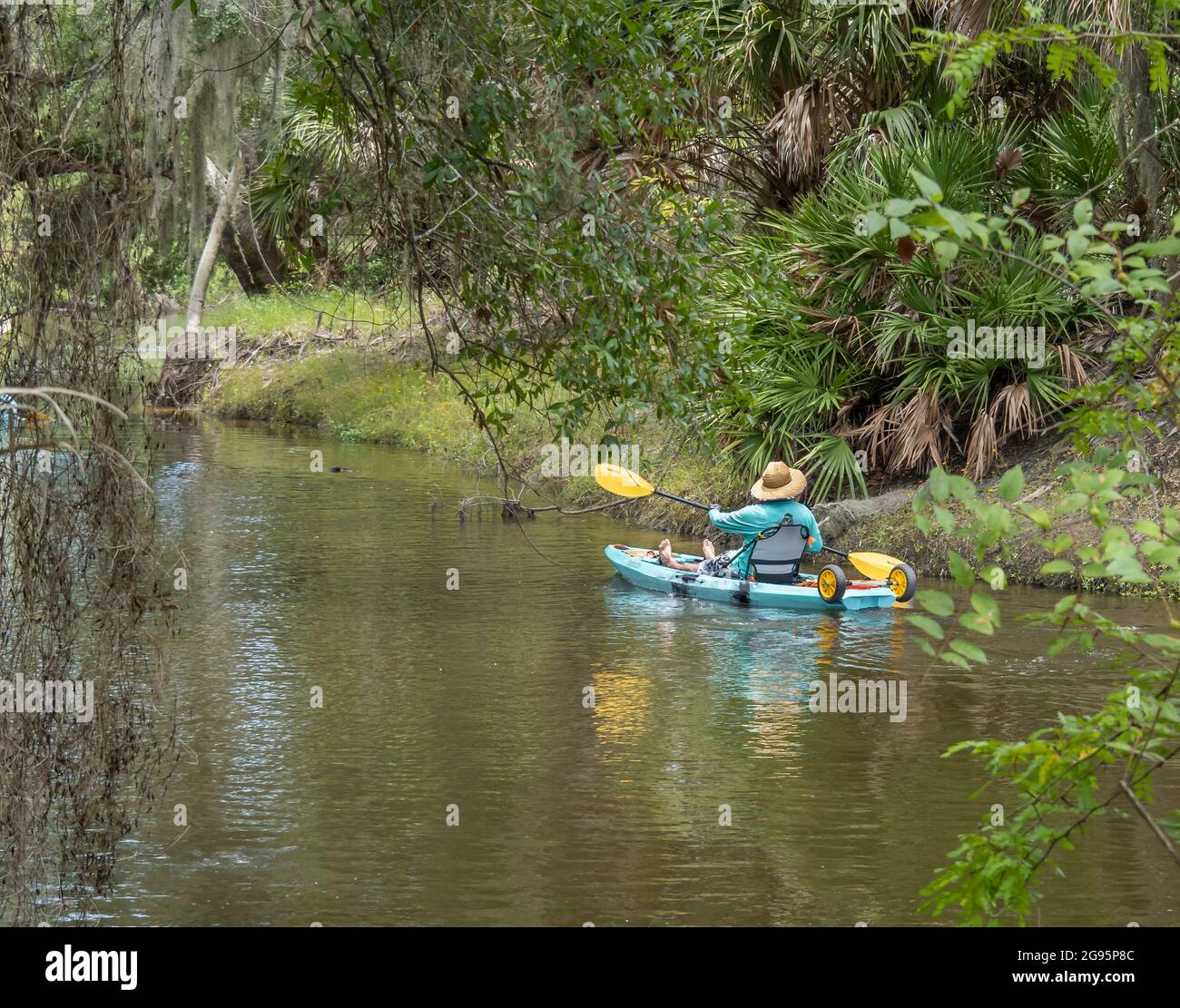 Kayak nel fiume Myakka a Venezia Myakka River Park a Venezia Florida USA Foto Stock